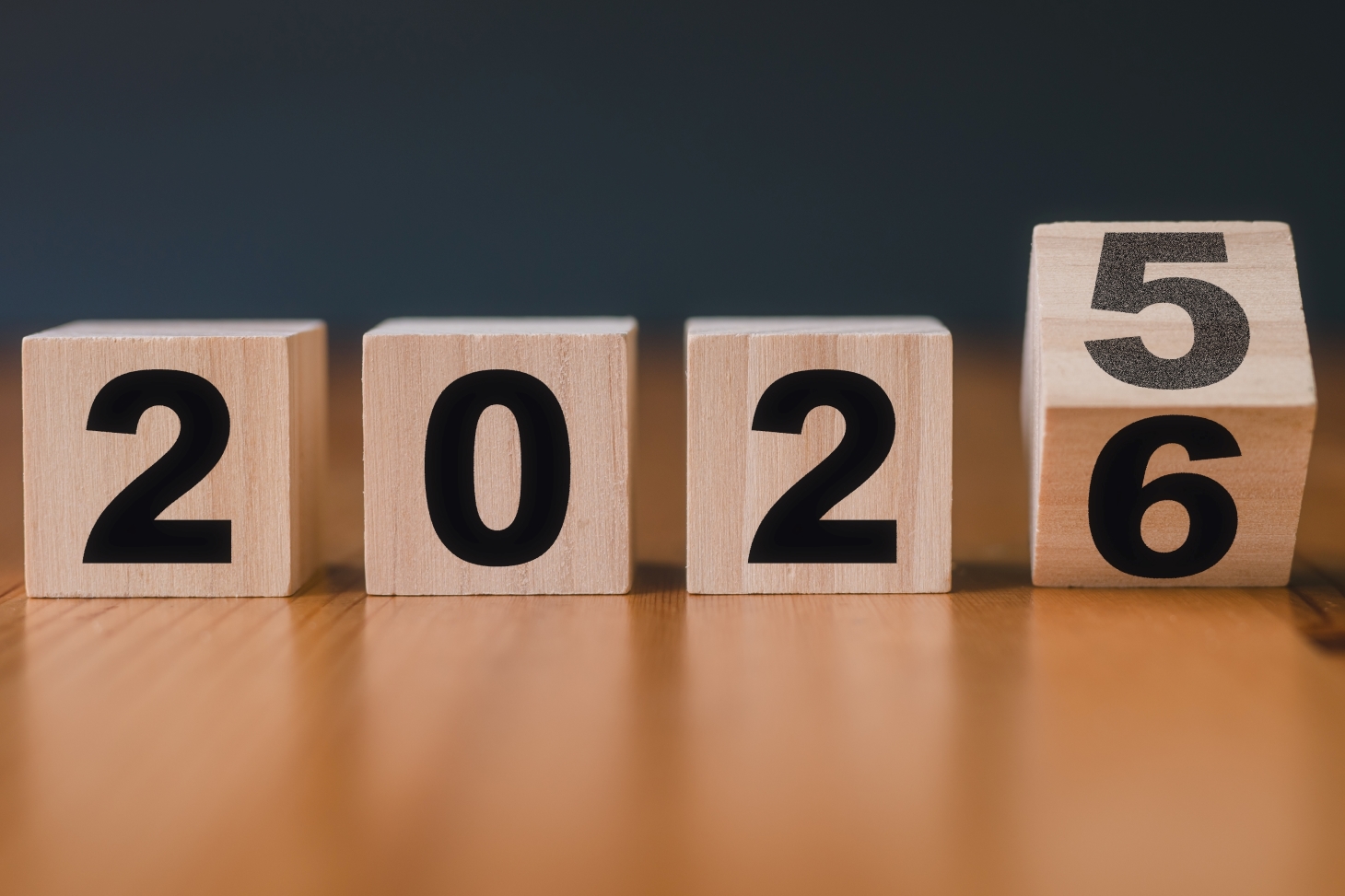 السنة 2025 / 2026